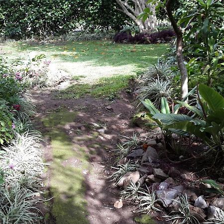 Hotel Las Orquideas Monteverde Екстер'єр фото